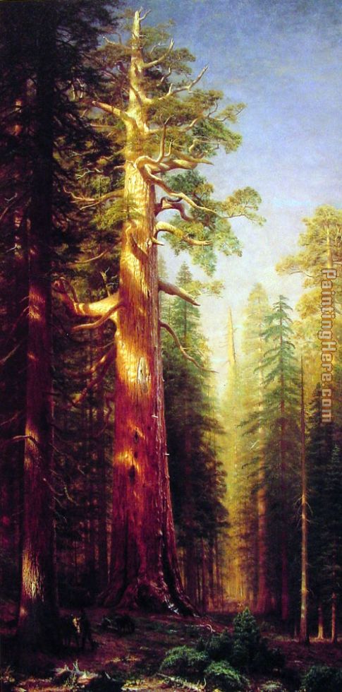 Albert Bierstadt The Great Trees Mariposa Grove California